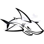 Sticker REQUIN (ref1)