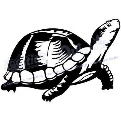 1 sticker TORTUE Terrapene 29x20cm