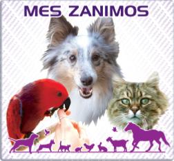 MES ZANIMOS