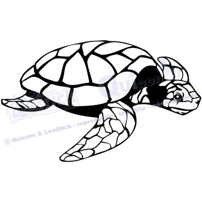 1 sticker TORTUE 29x17cm