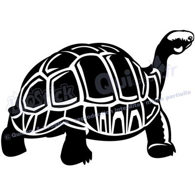 1 sticker TORTUE Elephantine 28x20cm