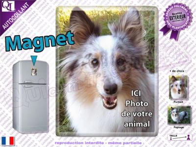 Magnétique Mon CHIEN rectangle