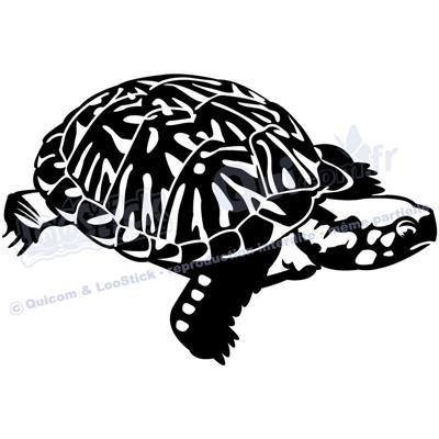 1 sticker TORTUE Ornata 29x19cm