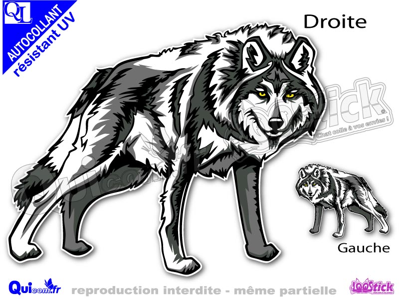 Autocollant Voiture Chat - 30x30 Cm, Adhésif Résistant, Facile à Poser Et Retirer Sans Traces