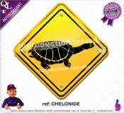 Autocollant PANNEAU AUSTRALIE tortues reptiles
