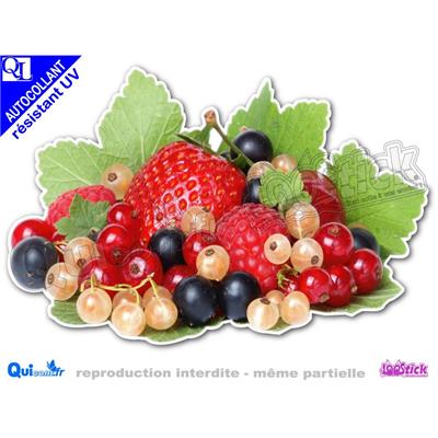 Sticker autocollant FRUITS ROUGES adhésif résistant extérieur UV