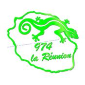 974 LA REUNION Margouillat FLUO