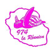 974 LA REUNION Tortue de Mer FLUO