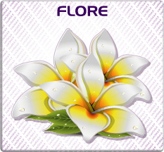 Flore