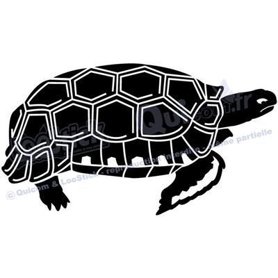 1 sticker TORTUE Kinixys 29x16cm