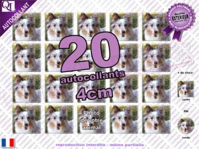 Autocollant Mon CHIEN 20 étiquettes