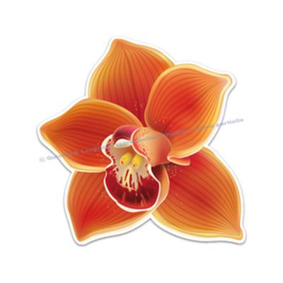 2 Stickers Orchidée Cymbidium (ref2)