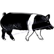 Sticker COCHON (ref1)