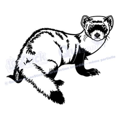 Sticker FURET (ref1)