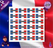 autocollant 24 rectangles FRANCE BLEU BLANC ROUGE
