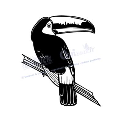 Sticker TOUCAN (ref1)