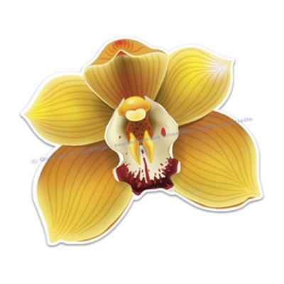 2 Stickers Orchidée Cymbidium (ref1)