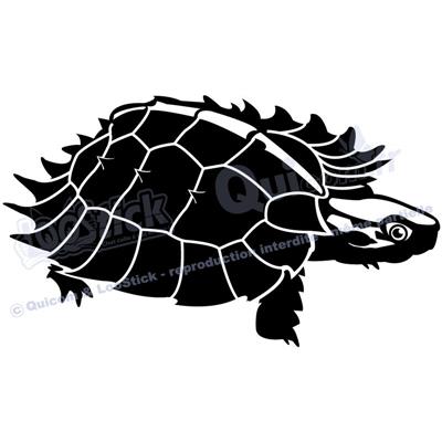 1 sticker TORTUE Spinosa 29x17cm