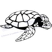 1 sticker TORTUE 29x17cm