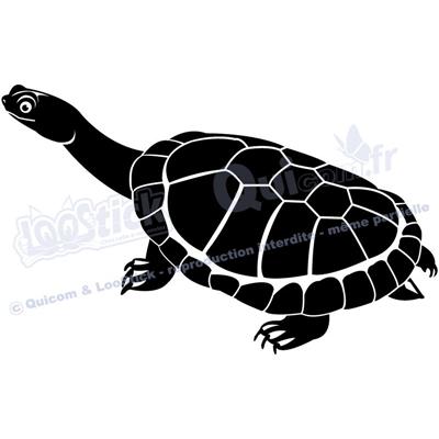 1 sticker TORTUE Chelodine 29x18cm