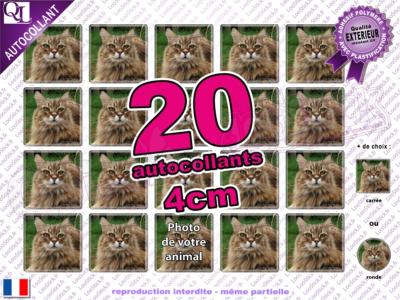 Autocollant Mon CHAT 20 étiquettes