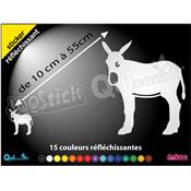 Sticker ANE CATALAN BURRO réfléchissant