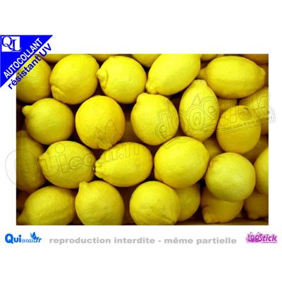 CITRONS affiche Autocollante