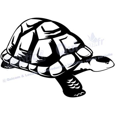 1 sticker TORTUE Terrestre 29x20cm