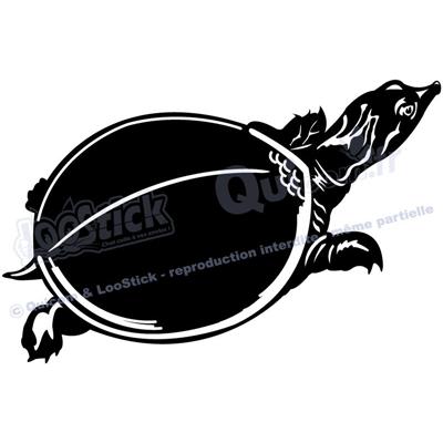 1 sticker TORTUE Trionyx 29x19cm