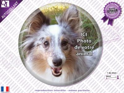 Autocollant Mon CHIEN rond