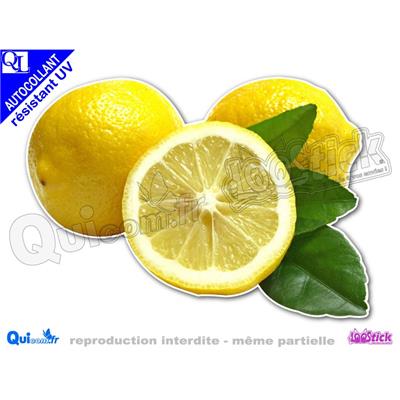 Sticker autocollant CITRONS adhésif résistant UV