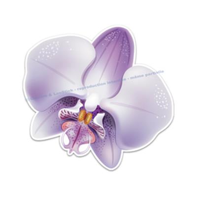2 Stickers Orchidée Phalaenopsis (ref2)