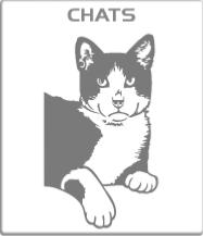 Chats