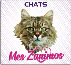 Chats