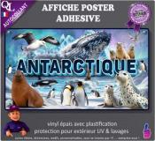 AFFICHE POSTER PLV autocollant ANIMAUX du MONDE 