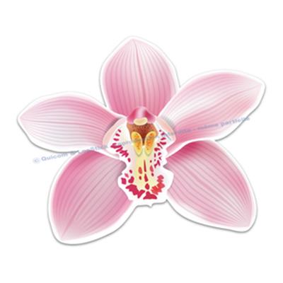 2 Stickers Orchidée Cymbidium (ref3)