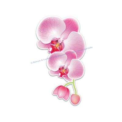 2 Stickers Orchidée Phalaenopsis (ref4)