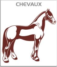 Chevaux