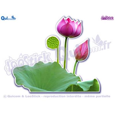 Autocollant fleurs Lotus rose