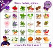 Etiquettes autocollantes illustrées PARFUMS Barbe à Papa