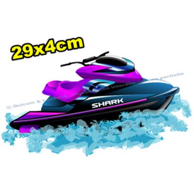 Lettrages Adhésifs Jet-Ski 29cm