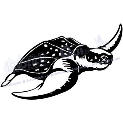 1 sticker TORTUE Luth 29x18cm