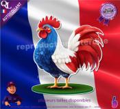 Autocollant COQ TRICOLORE FRANCE ref1