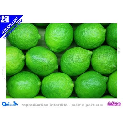 CITRONS VERTS LIME affiche Autocollante