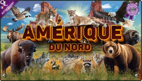 affiche poster autocollant stickers animaux AMERIQUE du NORD effet 3D affiche autocollante
