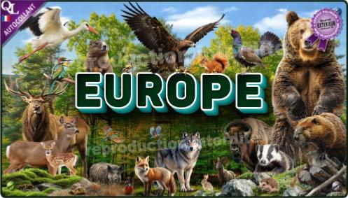 affiche poster autocollant stickers animaux EUROPE effet 3D affiche autocollante