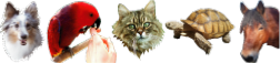 autocollant sticker photo de mon animal de compagnie
