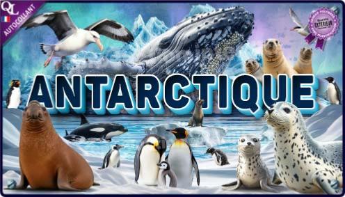 affiche poster autocollant stickers animaux ANTARCTIQUE effet 3D affiche autocollante