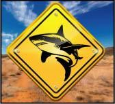 sticker PANNEAU AUSTRALIEN adh�sif REQUIN BLANC