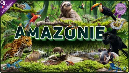 affiche poster autocollant stickers animaux AMAZONIE effet 3D affiche autocollante
